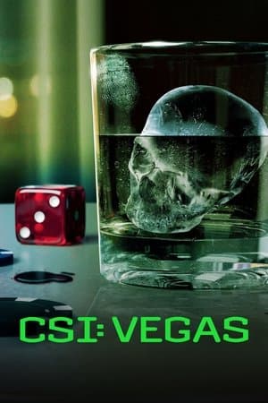 CSI: Vegas - poster