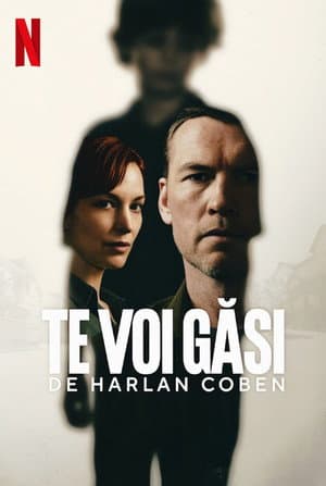 Te voi găsi - poster