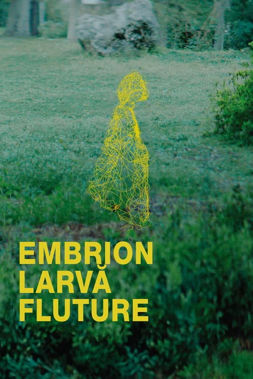 Embrion, larvă, fluture poster