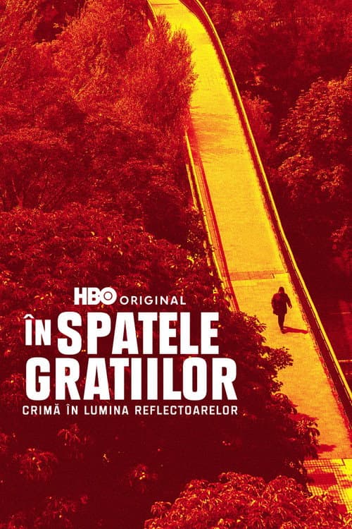 În spatele gratiilor: Crimă în lumina reflectoarelor poster