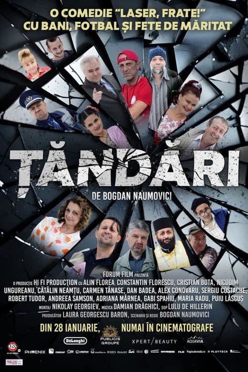 Țăndări poster