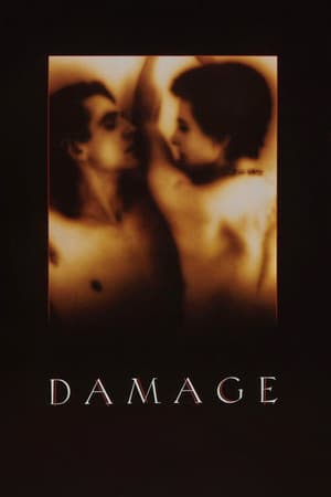 Damage - poster