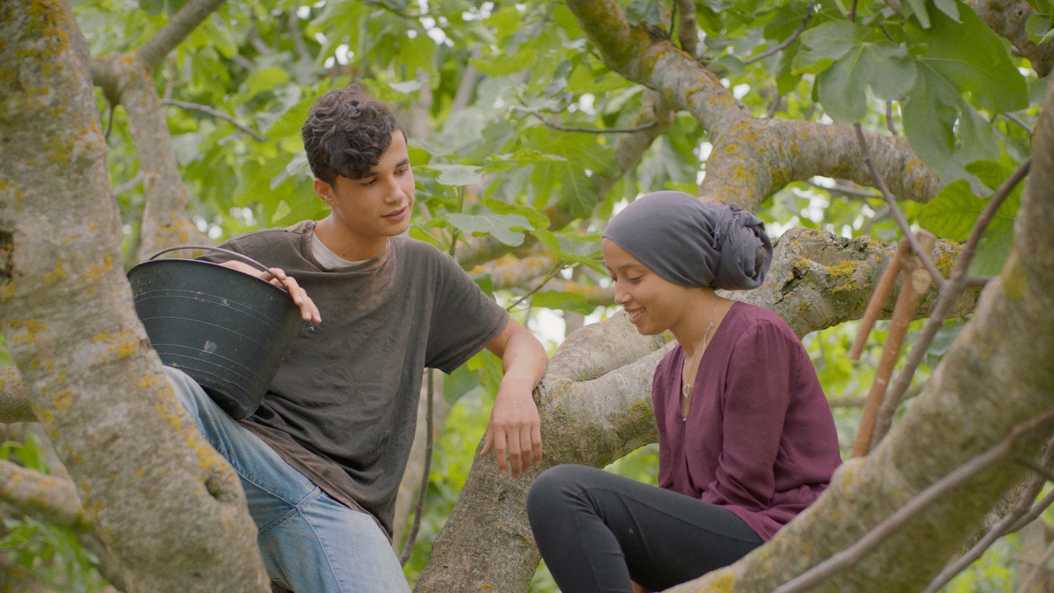 Imagine din filmul Under the Fig Trees (2022)