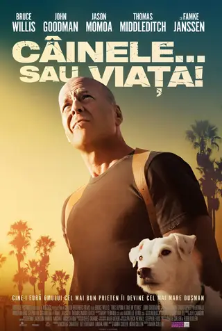 Poster Câinele... sau viața (2017)