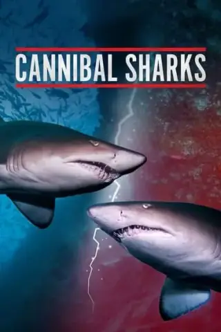 Poster Cannibal Sharks (2019)