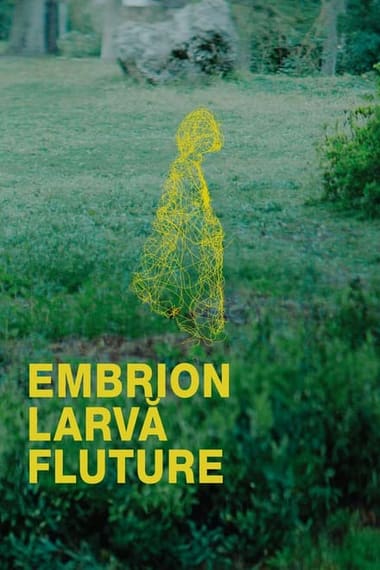 Poster Embrion, larvă, fluture (2024)