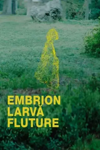 Poster Embrion, larvă, fluture (2024)