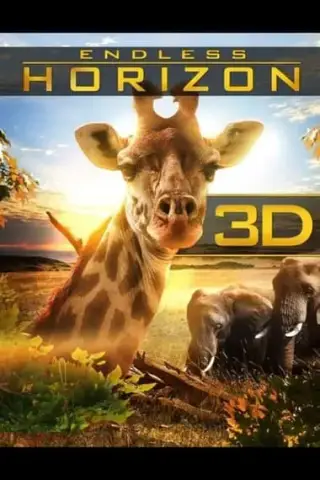 Poster Endloser Horizont - Afrika 3D (2012)