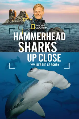 Poster Hammerhead Sharks Up Close with Bertie Gregory (2026)