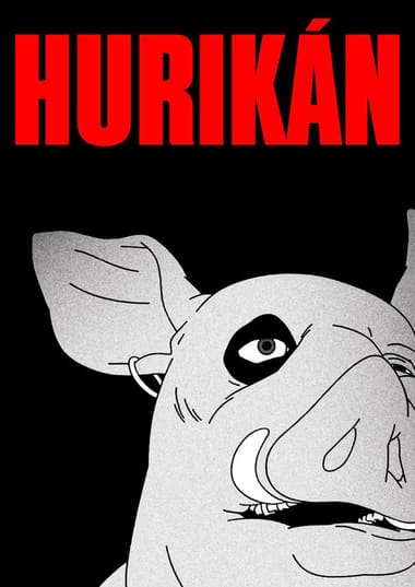Poster Hurikán (2024)
