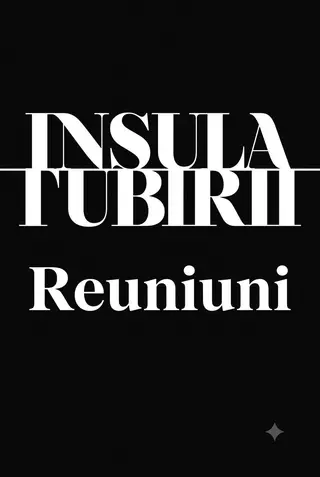 Poster Insula Iubirii - Reuniuni (2026)