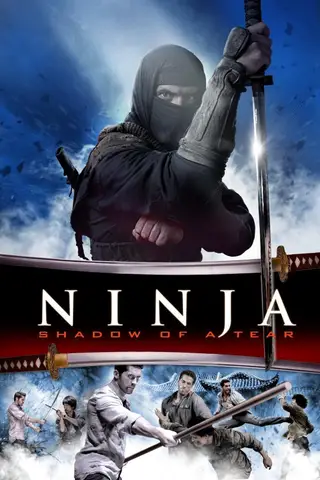 Poster Ninja: Răzbunarea (2013)