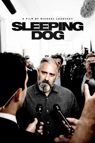 Poster Sleeping Dog (2026)