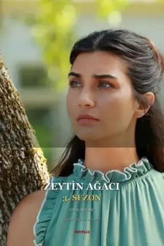 Sezonul 3