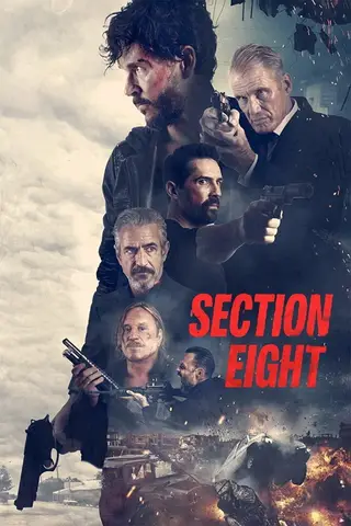 Poster Unitatea 8 (2022)