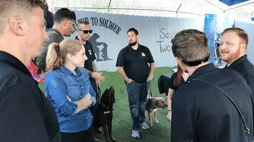 Episodul 3